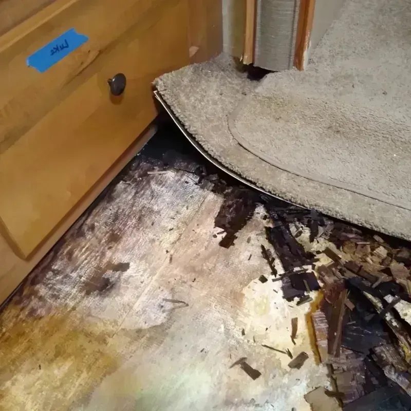 Wood Floor Water Damage in Mokena, IL